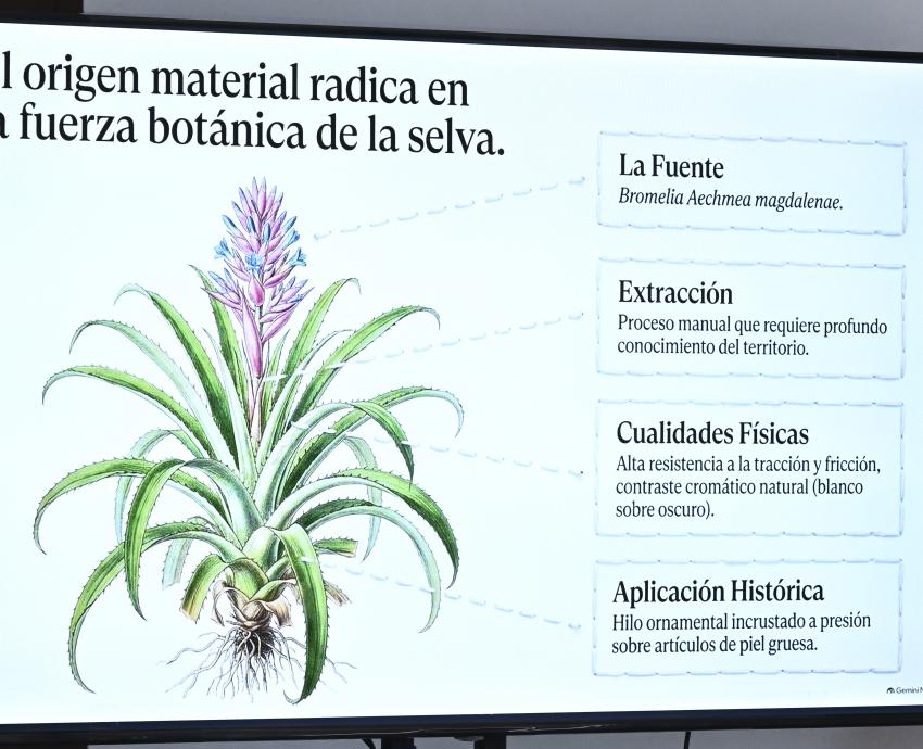 Del suelo a las estrellas: exploran la diversidad del patrimonio cultural y los desafíos para su conservación