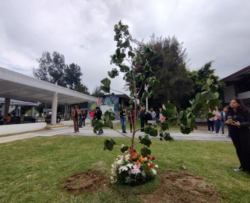 Plantan en CUCiénega árbol en memoria de la académica Juanita Santos Cruz