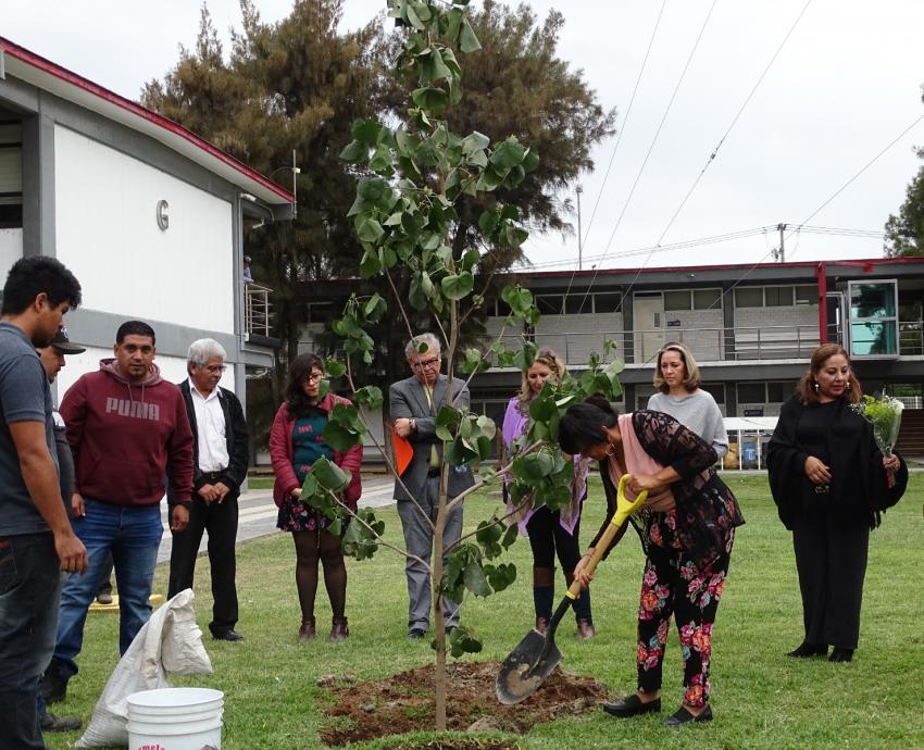 Plantan en CUCiénega árbol en memoria de la académica Juanita Santos Cruz