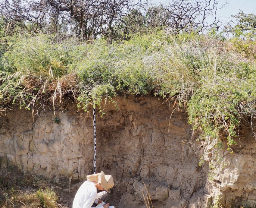 Rastrean ubicación y composición de arcillas usadas en alfarería tradicional de Jalisco y Tlaxcala