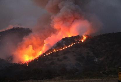 Incendio en la primavera afectó ocho por ciento del área natural protegida: especialista de la UdeG