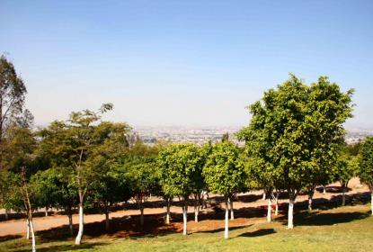 Peligran paisajes naturales de Tonalá por urbanización