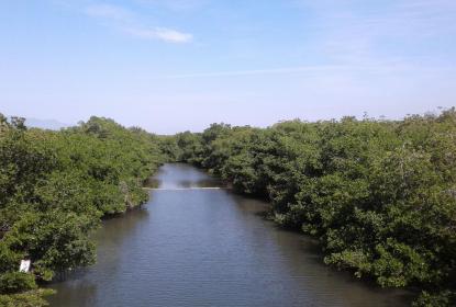 Buscan preservación del estero El Salado con registro de su paisaje sonoro