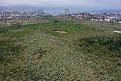 UdeG, sólo respaldará el proyecto que tenga soporte técnico y científico para proteger el Estero “El Salado”
