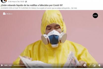 Ante el Covid-19, prácticas lectoras no deben limitarse a redes sociales