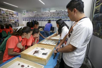 Continúan los preparativos de la edición 2020 del Festival Papirolas