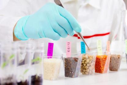Diseñan nanoalimento que se espera pueda ayudar a diabéticos