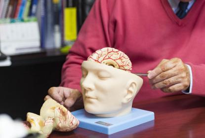 Preparan centros universitarios regionales actividades por la Semana del Cerebro 2022