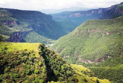 CUAAD invita a su primera Bienal de Pintura Barranca de Huentitán