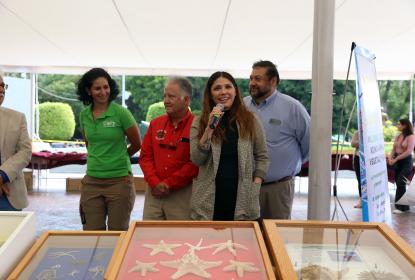 Muestran en explanada de Rectoría General Colección Biológica Itinerante del CUCSur 