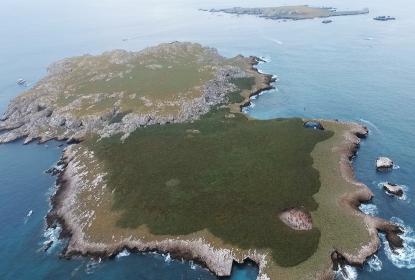 “El Niño” y huracán “Roslyn” causaron daños en 95 por ciento del coral de Islas Marietas 
