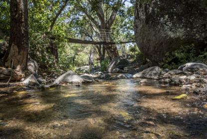 Reconoce Conahcyt al CUCSur por investigaciones en favor del medio ambiente