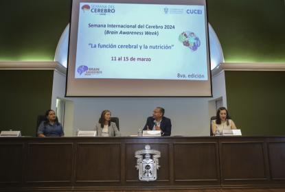 Exceso de azúcares y grasas saturadas comprometen desarrollo de funciones cerebrales