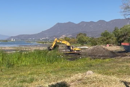 Investigadores de la UdeG denuncian depredación de humedales en Lago de Chapala