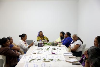 Buscan comunidades indígenas el reconocimiento de la medicina tradicional