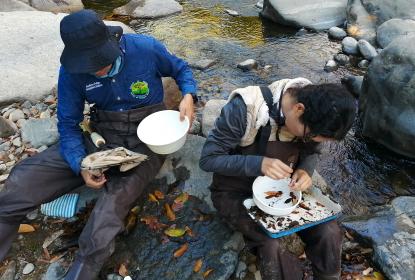 Estudian insectos para el rescate de ríos de la Costa Sur de Jalisco