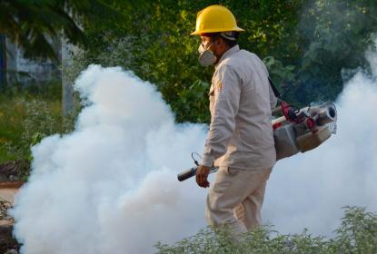 Repunte de dengue a causa de factores cíclicos