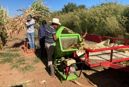 Analiza CUAltos rendimiento de forrajes para impulsar producción ganadera en la región