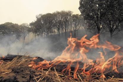 Jalisco, en “permanente peligro” ante incendios forestales
