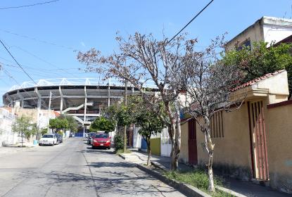 Falta una radiografía de árboles del Área Metropolitana de Guadalajara