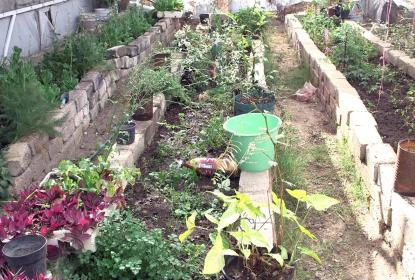 Con prácticas de consumo local, gastronomía sostenible reduce el impacto ambiental