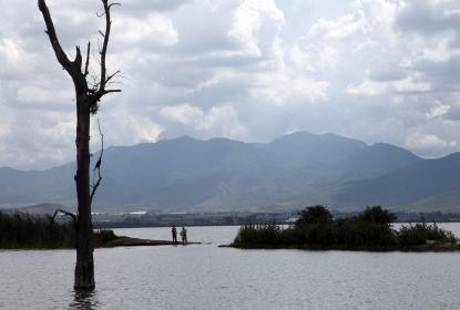 Suma CUSur más de dos décadas de investigación y protección del lago de Zapotlán
