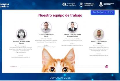 Investigadores de la UdeG desarrollan una alternativa terapéutica contra la giardiasis en mascotas
