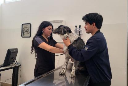 Impacta positivamente al Sur de Jalisco, Hospital Veterinario de Pequeñas y Grandes Especies del CUSur