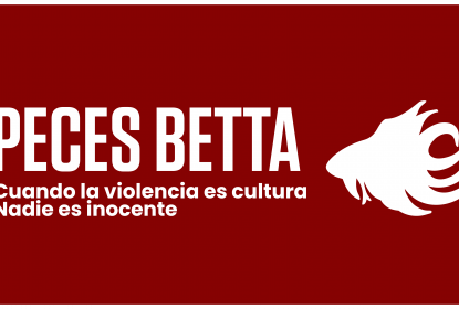 Cortometraje “Peces betta” obtiene estímulo Proyecta 2026