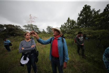 Invitan a segundo diplomado en Baños de bosque, una estrategia de salud pública y conservación ambiental