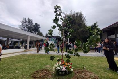 Plantan en CUCiénega árbol en memoria de la académica Juanita Santos Cruz