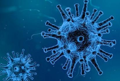 Confirma InDRE presencia de la mutación E484K detectada por la UdeG y la presencia de la variante brasileña P.2 en México