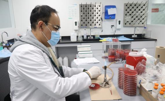 Con hemocultivos, optimizan tratamientos en pacientes del HCG