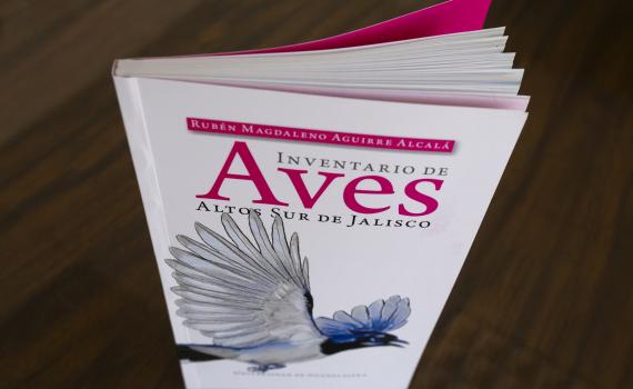 Difunden inventario de aves que habitan en CUAltos