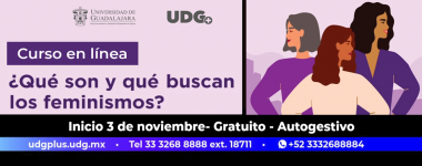 Cartel del Curso autogestivo en línea: ¿Qué son y que buscan los feminismos?