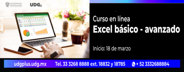 Cartel del Curso en línea: Excel básico-avanzado