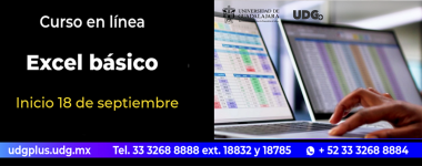 Cartel del Curso en línea: Excel básico