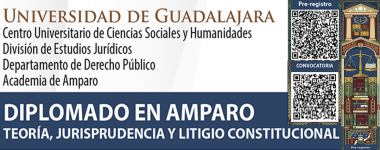 Cartel del Diplomado en Amparo