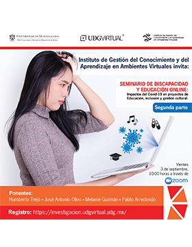 Seminario de discapacidad y educación online: Impactos del Covid-19 en proyectos de Educación, inclusión y gestión cultural